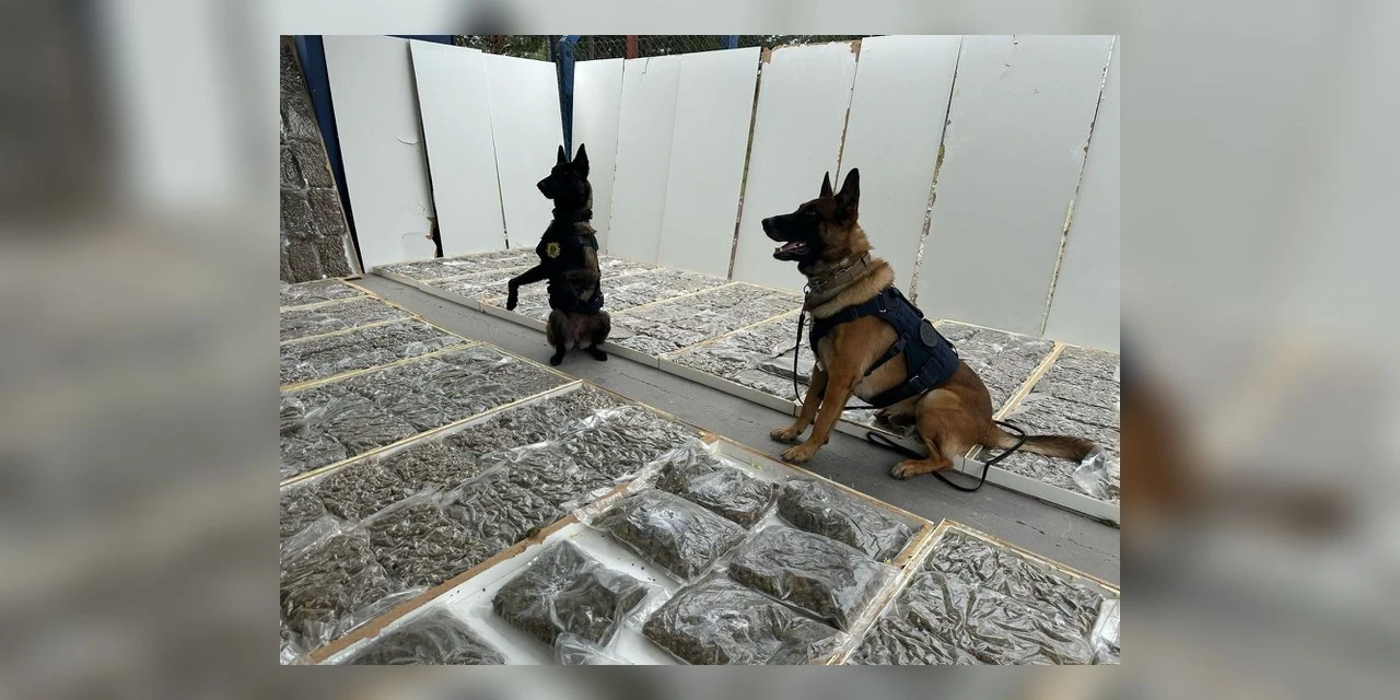 PRF apreende mais de 100 kg de maconha dentro de portas de madeira na BR-277