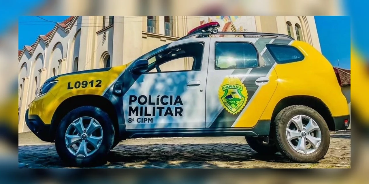 Discussão por causa de gato gera agressão e ameaça entre irmãos, nos Campos Gerais