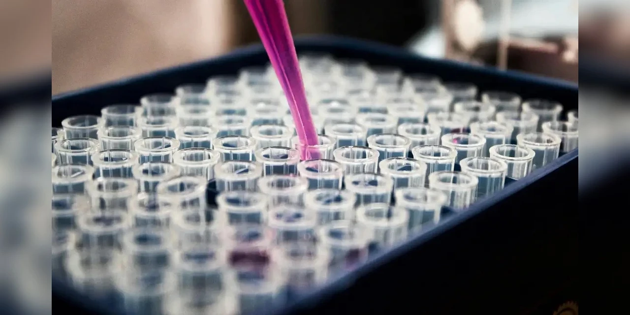 Investimentos reforçam criação de complexo industrial de saúde no país