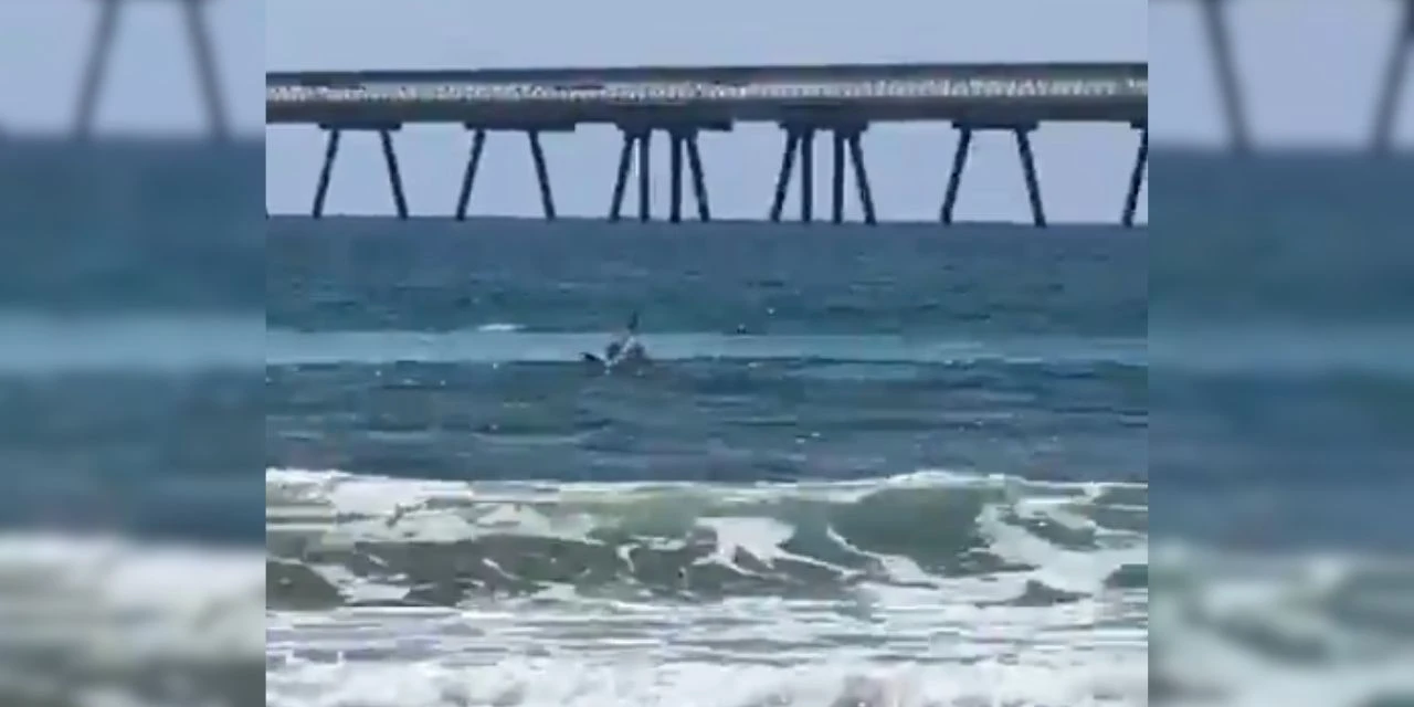 Vídeo: Homem desaparece após ataque de tubarão em praia de Israel