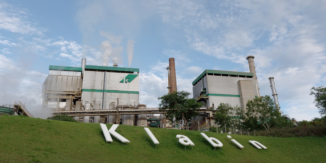 Klabin abre 70 vagas para Programa de Estágio 2025; veja como se inscrever