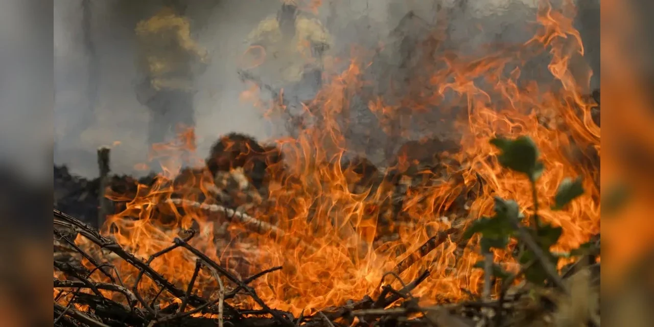 Número de envolvidos em conflitos por terra salta para 900 mil em 2024