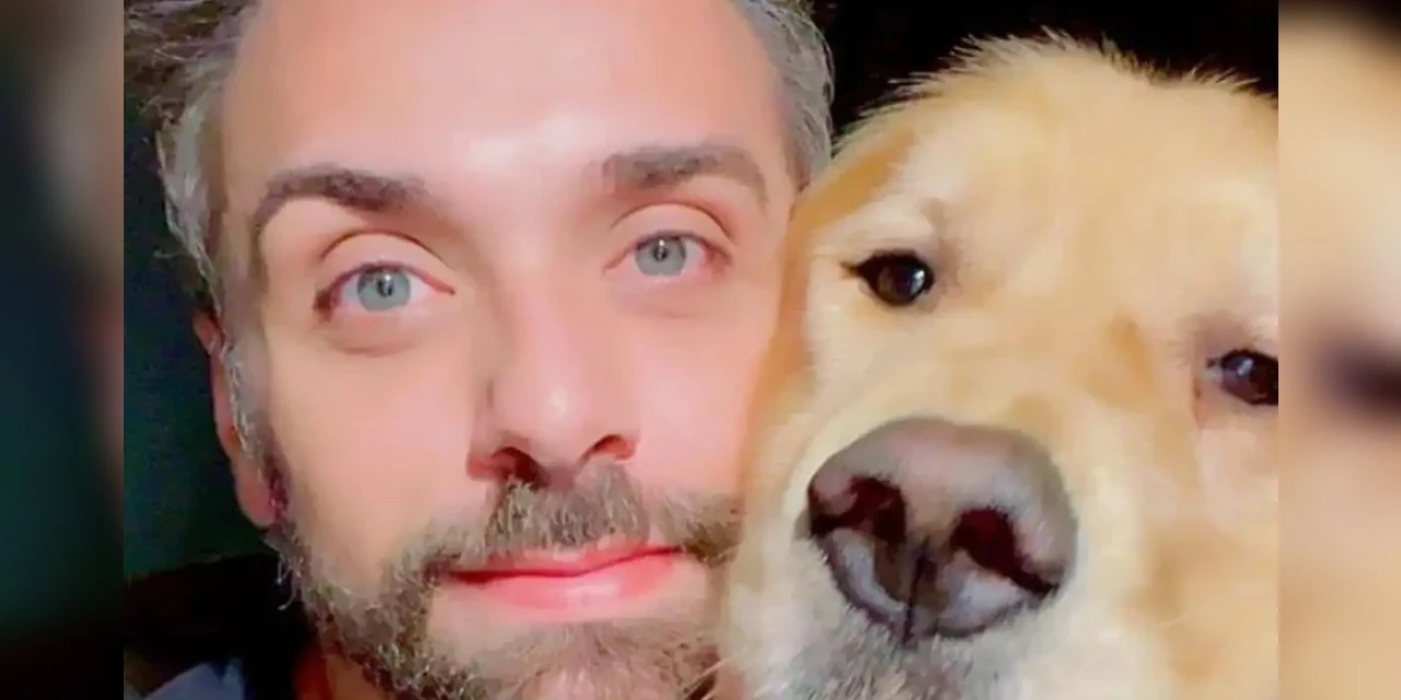 Senado aprova regras para transporte aéreo de animais