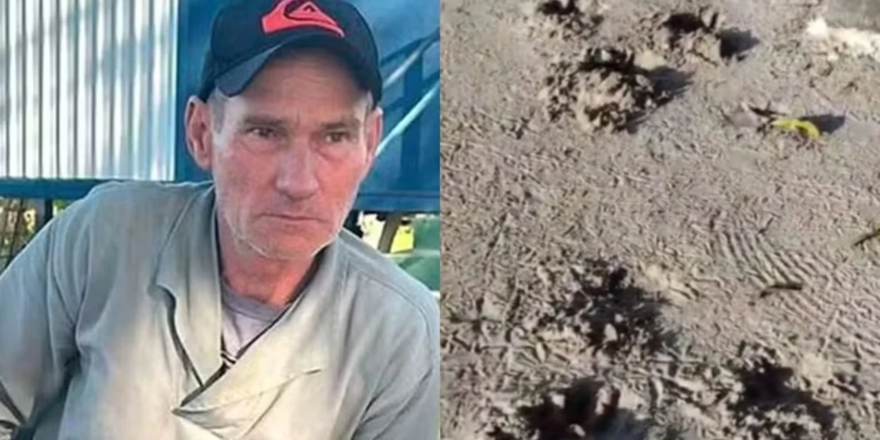 Governo monta força-tarefa para capturar onça que matou caseiro no Pantanal