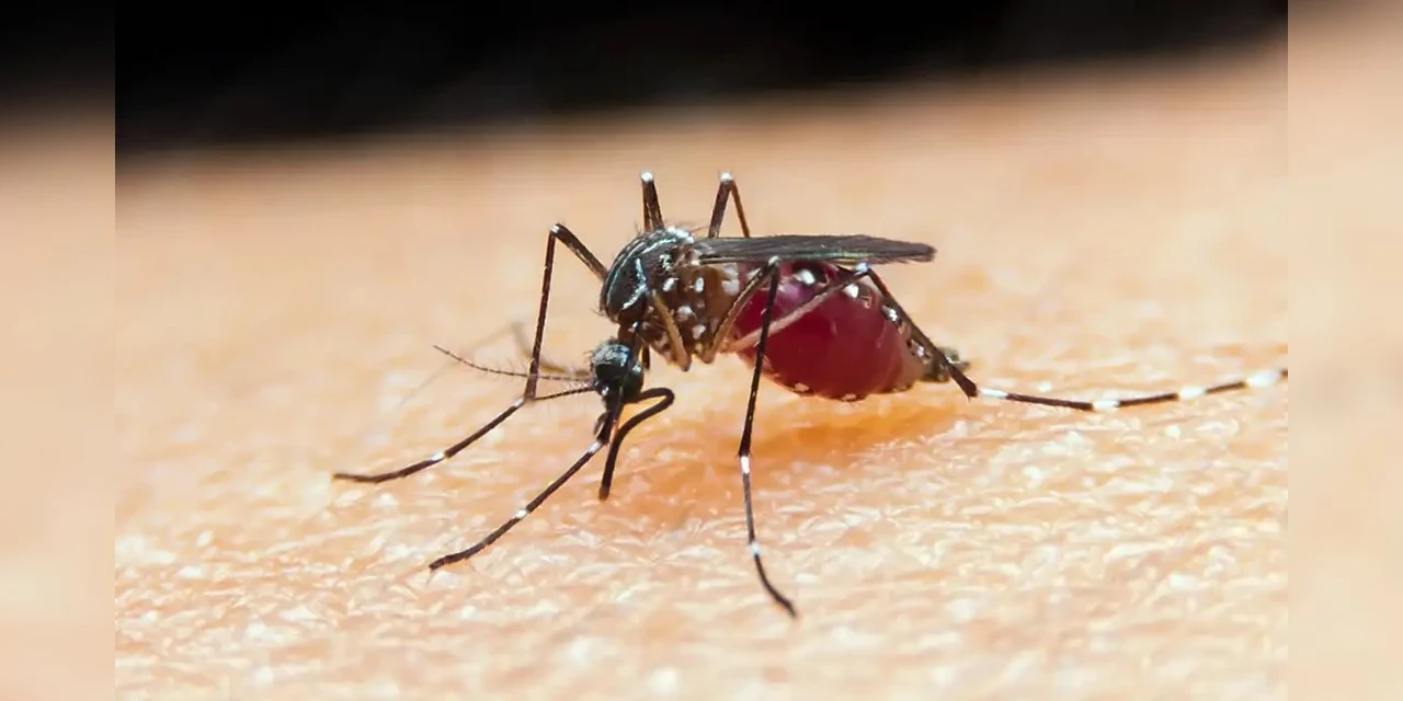 Falta de diagnóstico é obstáculo para eliminação da malária no Brasil