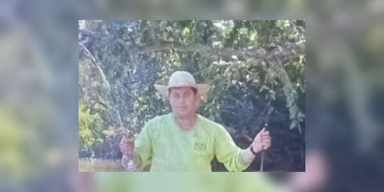 Homem que morreu durante corte de árvore é identificado
