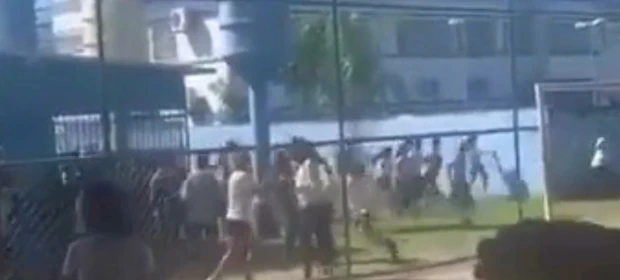Vídeo: Pitbull invade escola e causa pânico entre alunos