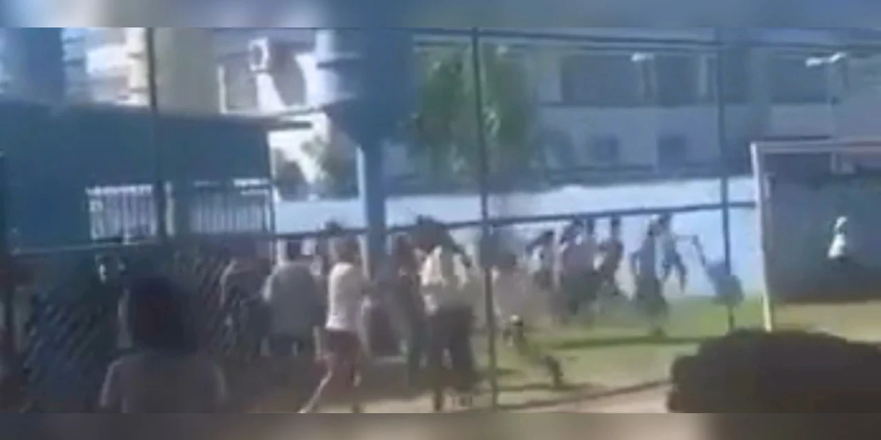 Vídeo: Pitbull invade escola e causa pânico entre alunos