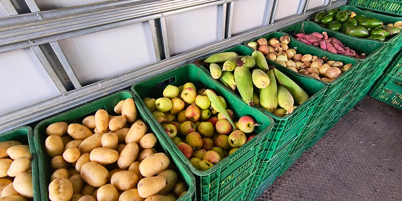 Confira o cronograma do 'Feira Verde' desta sexta-feira