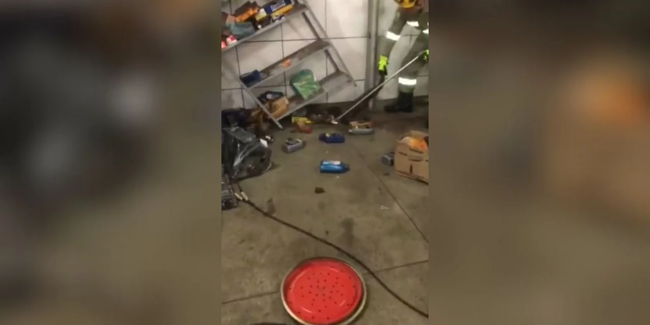 Vídeo: Jiboia com mais de 1 metro invade oficina e assusta mecânicos