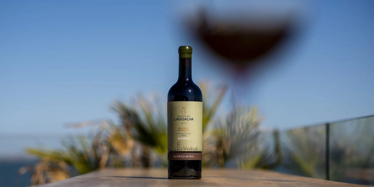 Vinhos & Viagens: ‘Quinta da Lagoalva possui o único vinho orgânico da uva Alfrocheiro produzida no Tejo', por Patrícia Ecave