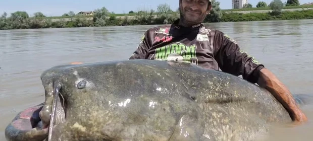 Bagre de quase 3 metros rende recorde mundial a pescador