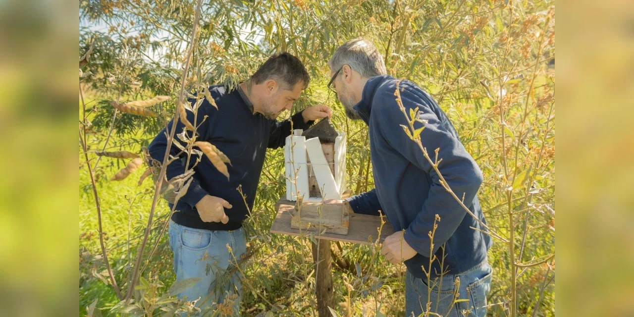 Mais de 200 produtores de orgânicos da região são atendidos por núcleo da UEPG
