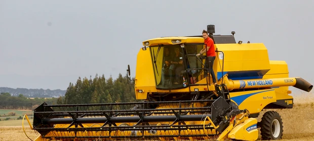 Salários da agropecuária do Paraná crescem no 2º trimestre e superam em 58% a média nacional