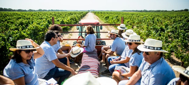 Vinhos & Viagens: 'Sete programas de vindimas na região dos Vinhos do Tejo entre agosto e setembro', por Patrícia Ecave