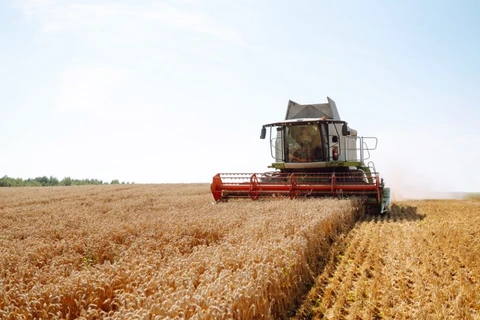 Plano Clima: Ministério explica metodologia e rebate alegações do agronegócio