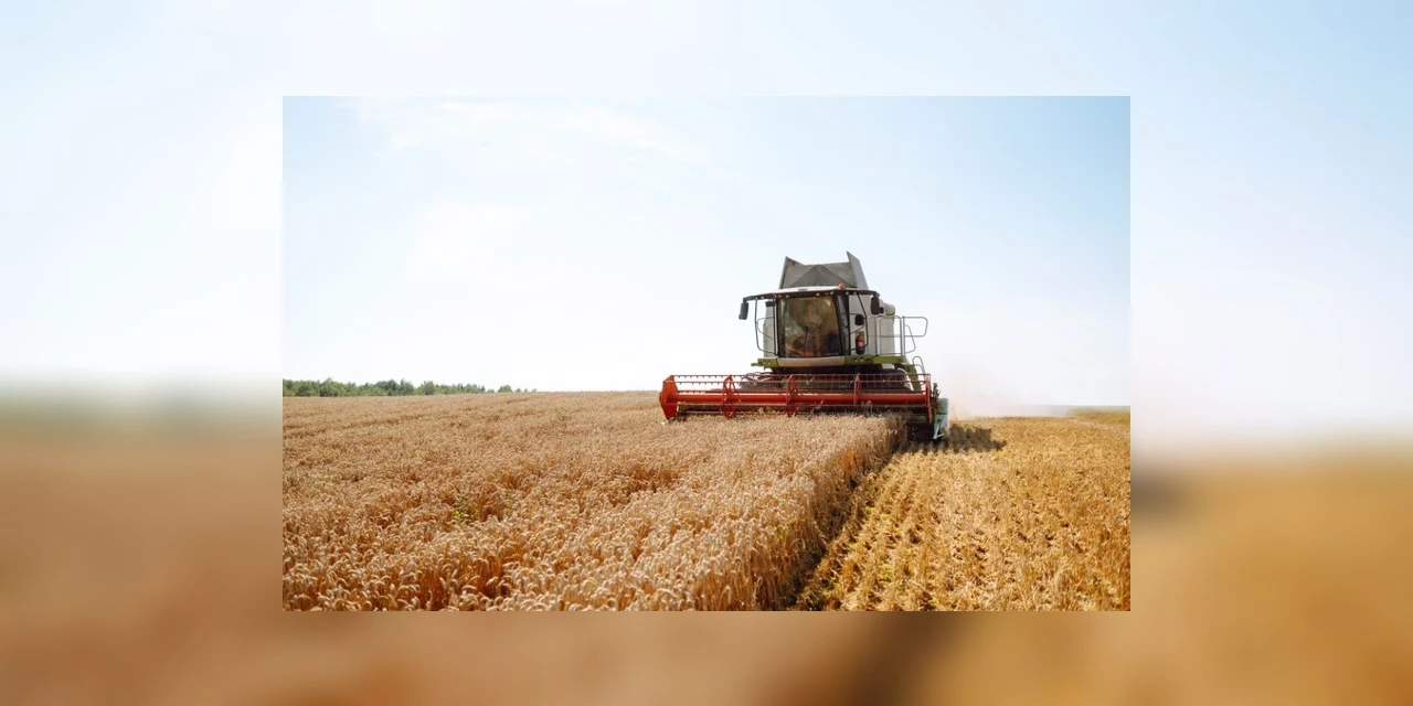 Plano Clima: Ministério explica metodologia e rebate alegações do agronegócio