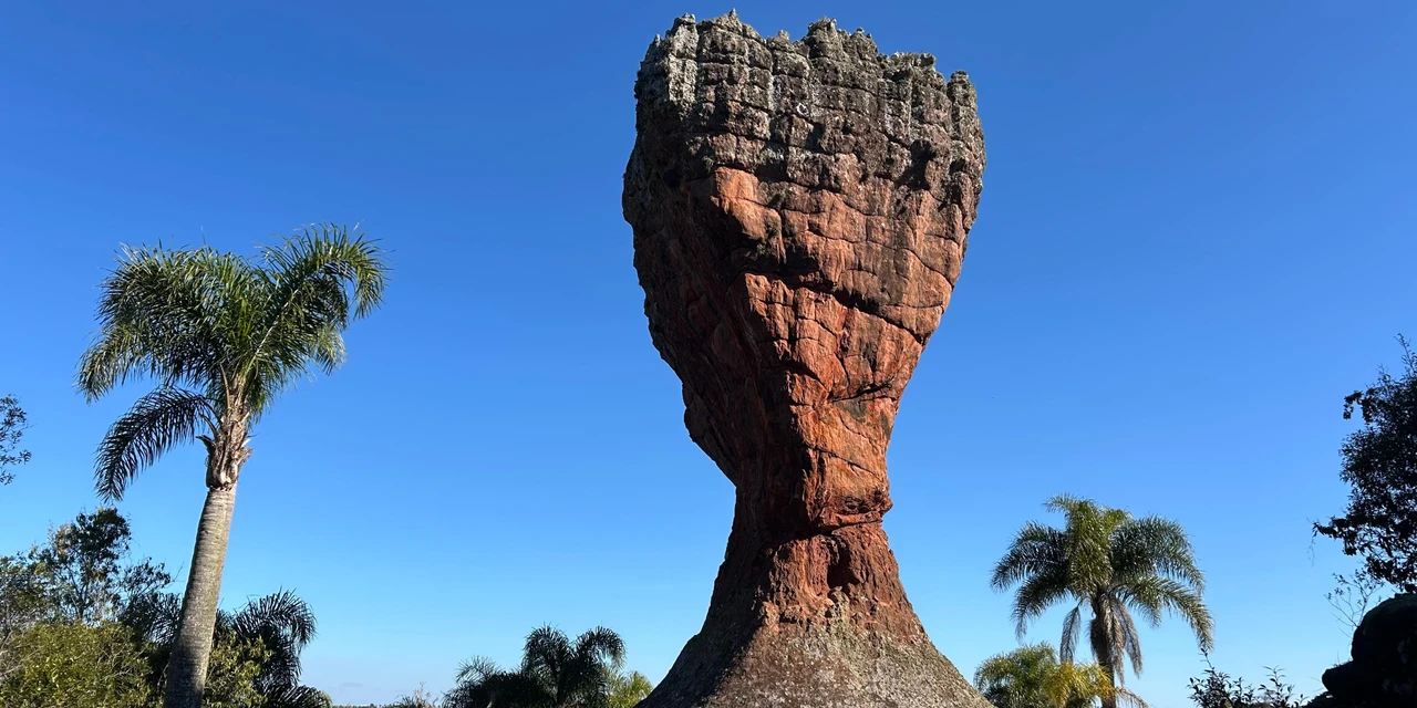 Parque Vila Velha lança promoção de agosto com valores reduzidos; saiba mais