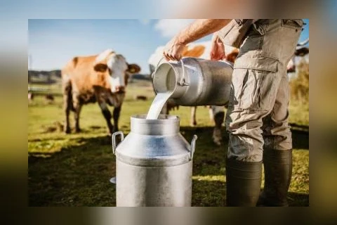 Simpósio do Leite irá reunir produtores rurais em Palmeira nesta sexta; confira como participar