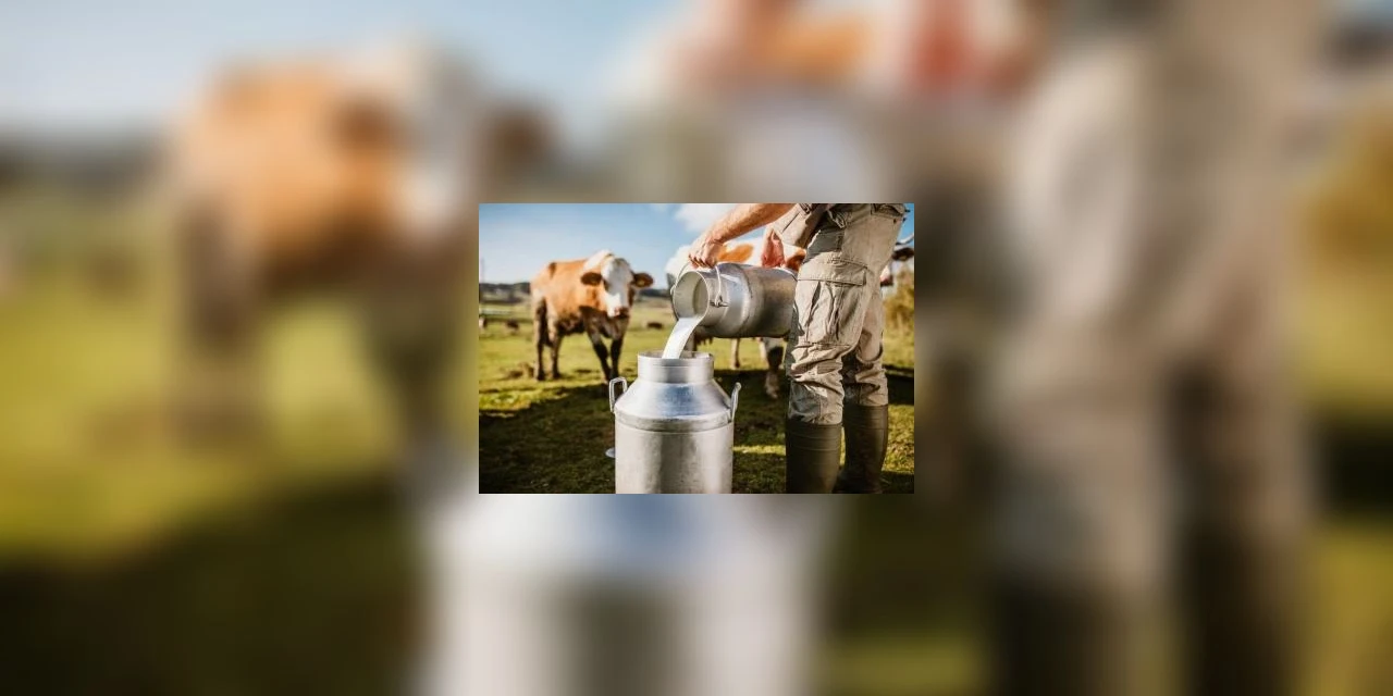Simpósio do Leite irá reunir produtores rurais em Palmeira nesta sexta; confira como participar