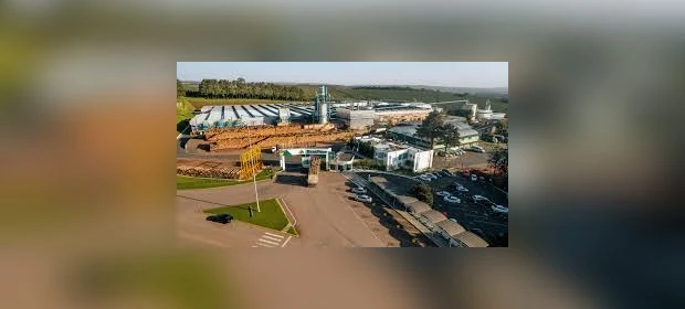 BrasPine explica desligamento de cerca de 400 colaboradores em Jaguariaíva