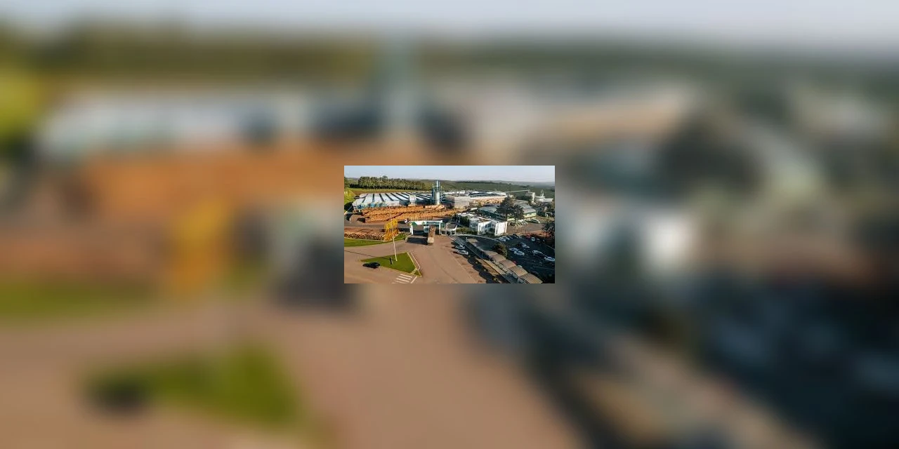 BrasPine explica desligamento de cerca de 400 colaboradores em Jaguariaíva