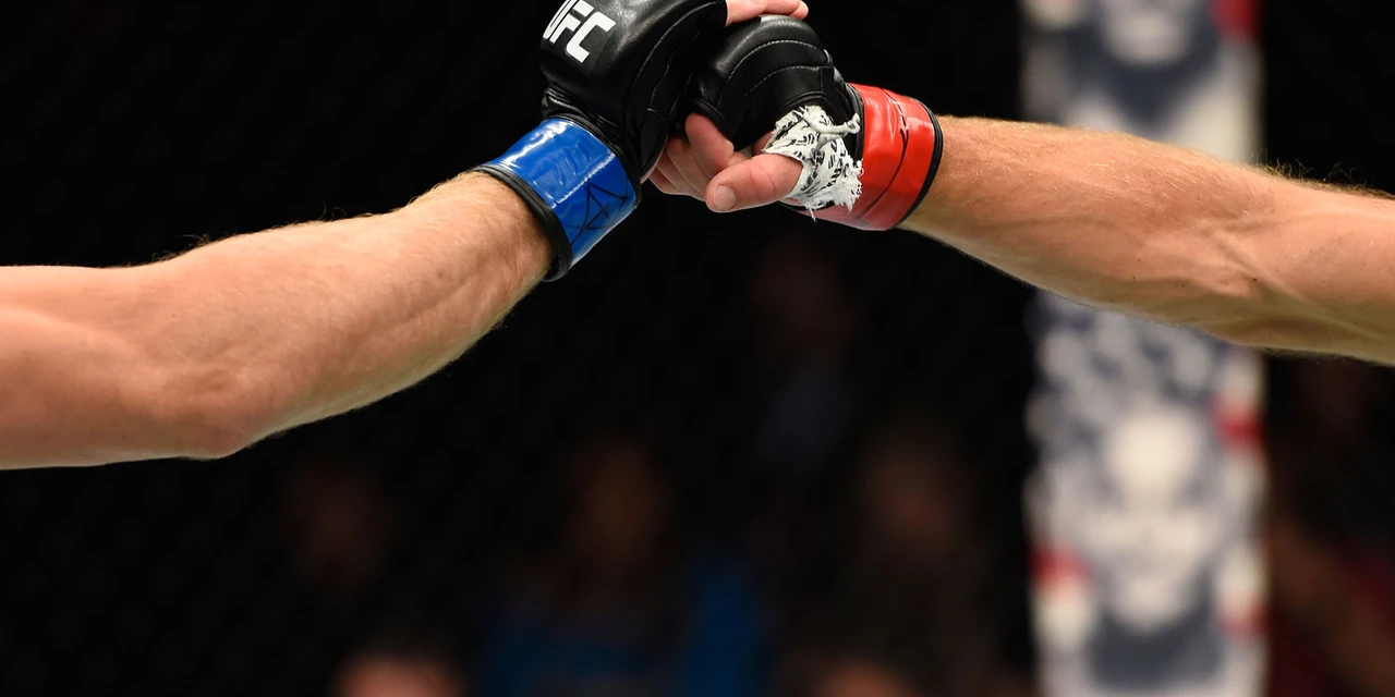 Município dos Campos Gerais promove "UFC" com megaestrutura neste sábado (13); confira