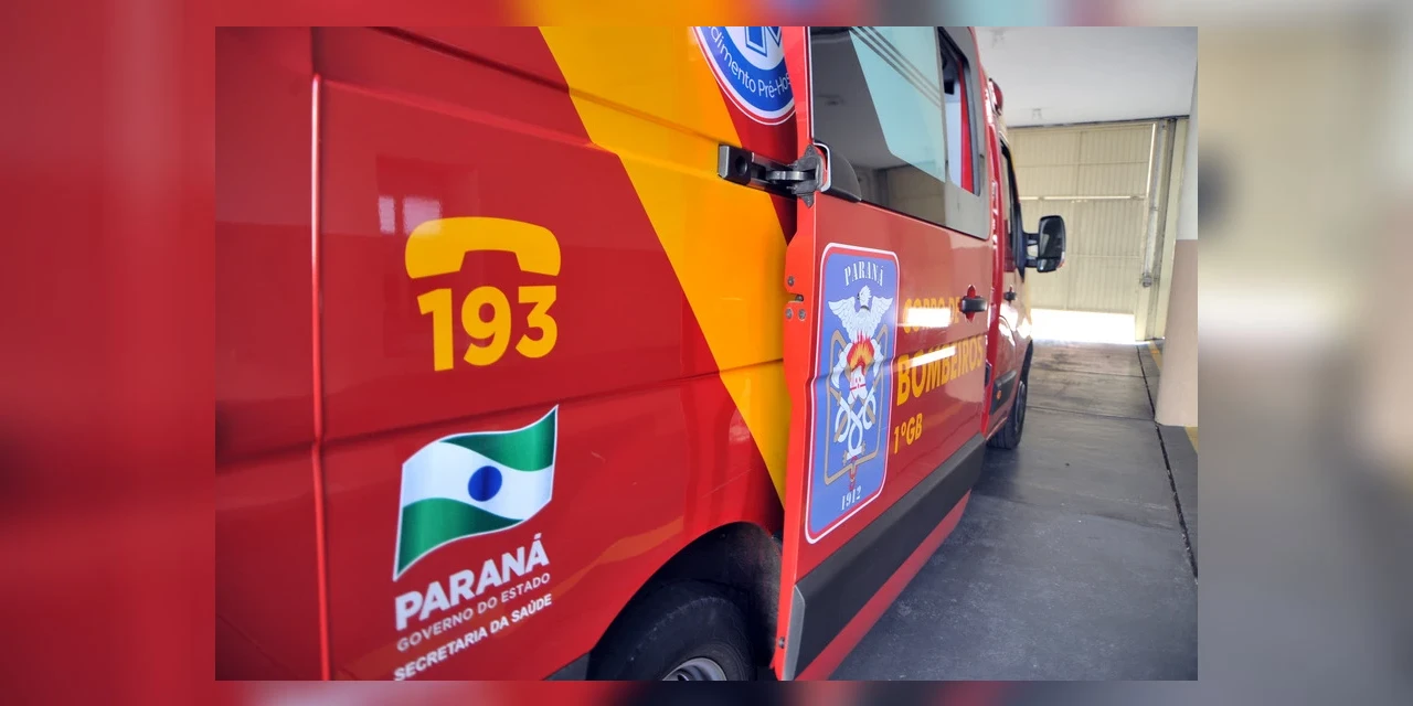 Menina de 3 anos é atacada por pitbull e tem couro cabeludo arrancado no PR