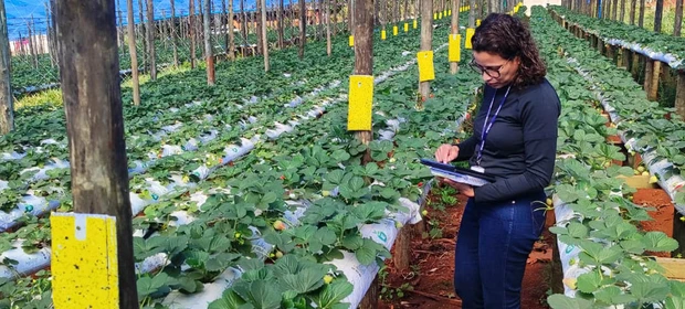 Concurso oferece 57 vagas com salários de até R$ 8,4 mil no PR