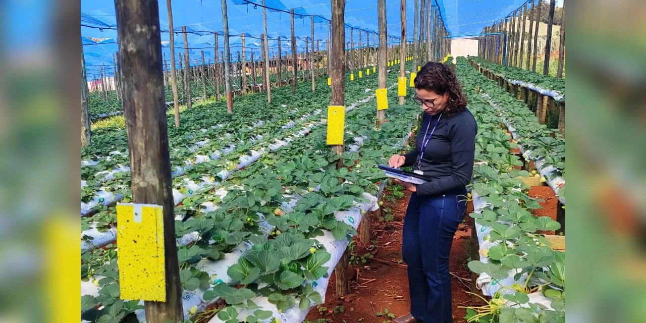 Concurso oferece 57 vagas com salários de até R$ 8,4 mil no PR