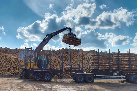 Municípios dos Campos Gerais figuram entre os maiores produtores do setor florestal do Brasil