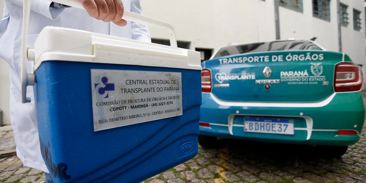 Paraná teve a menor taxa de recusa familiar para doação de órgãos do Brasil em 2024