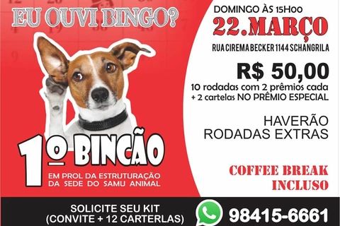 Imagem da Galeria