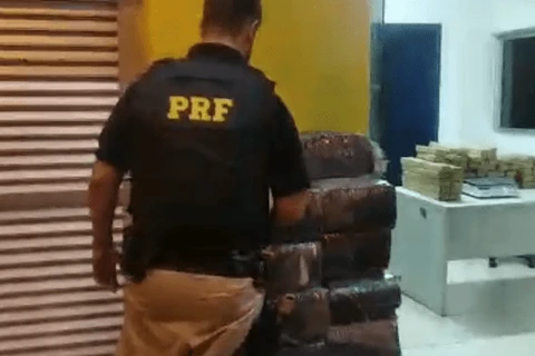 Imagem da Galeria
