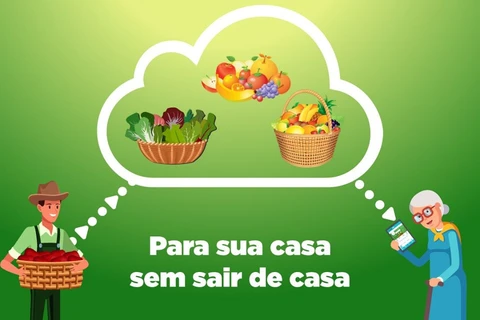 Imagem da Galeria