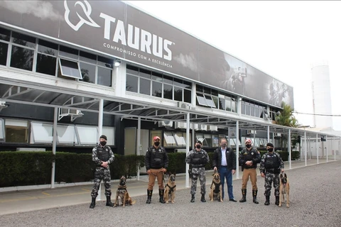 Imagem da Galeria