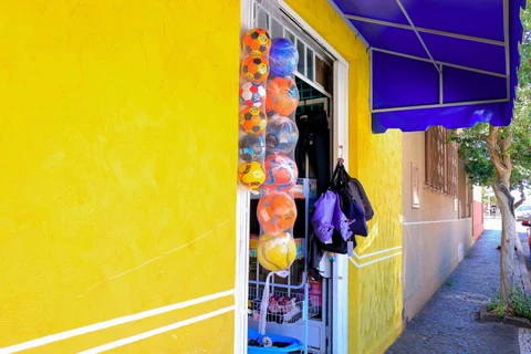 Imagem da Galeria