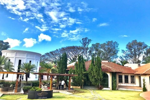 Imagem da Galeria