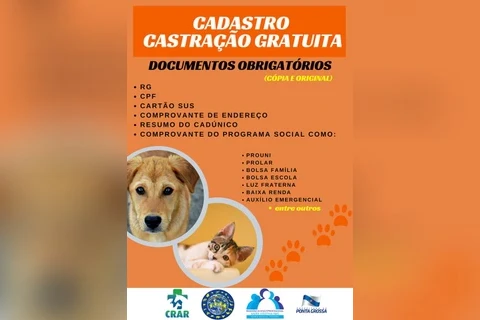 Imagem da Galeria