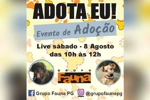 Imagem da Galeria
