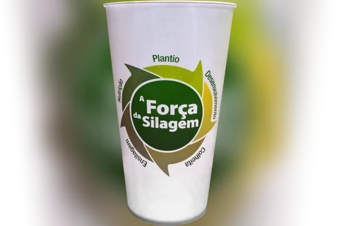 Imagem da Galeria