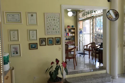 Imagem da Galeria