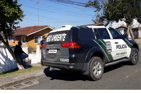 Imagem da Galeria