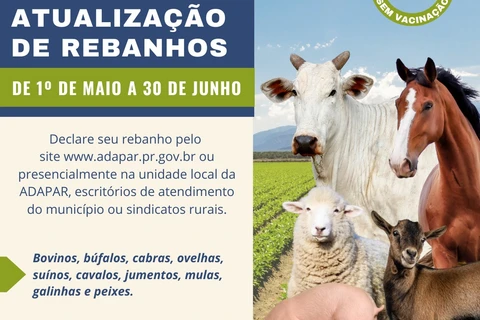 Imagem da Galeria