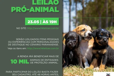 Imagem da Galeria