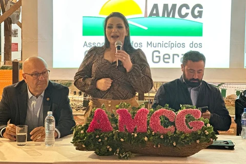 Imagem da Galeria