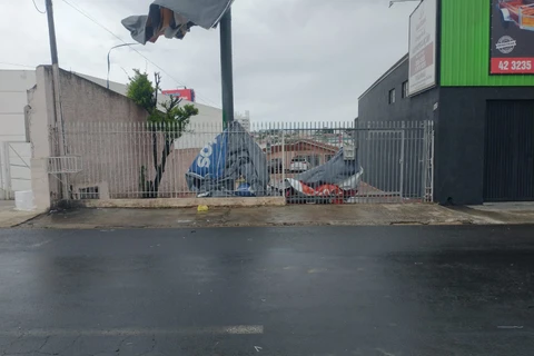 Imagem da Galeria