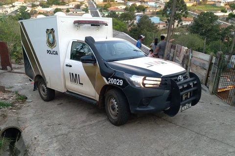 Imagem da Galeria