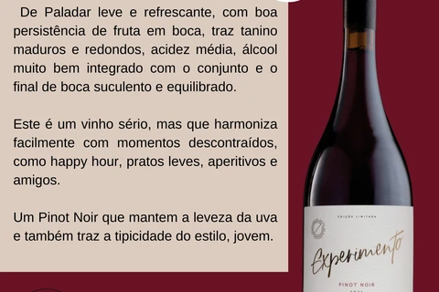 Imagem da Galeria