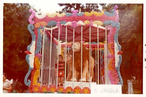 Imagem da Galeria